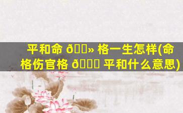 平和命 🌻 格一生怎样(命格伤官格 🕊 平和什么意思)